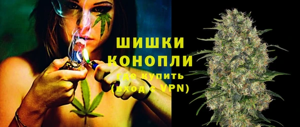 ПСИЛОЦИБИНОВЫЕ ГРИБЫ Волосово